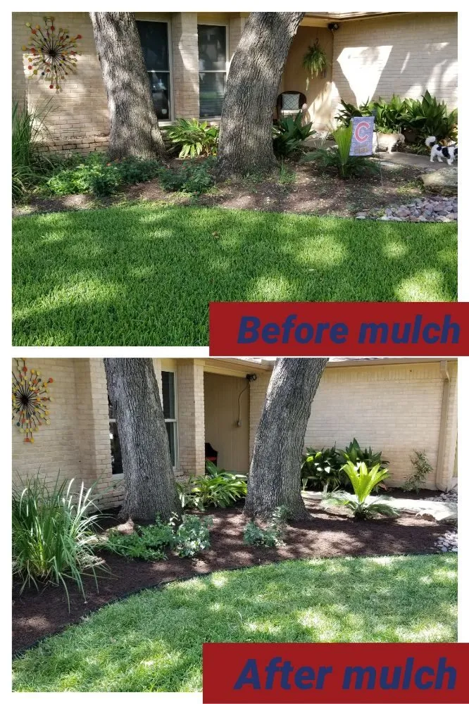 Reliable yard cleanup service in Austin, TX by A&M Lawn Services