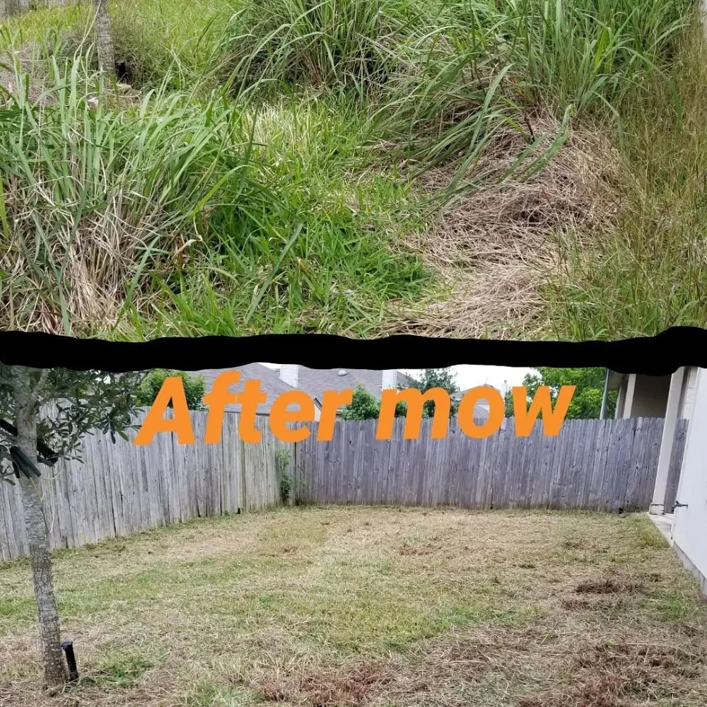 Trusted yard cleanup service in Austin, TX by A&M Lawn Services