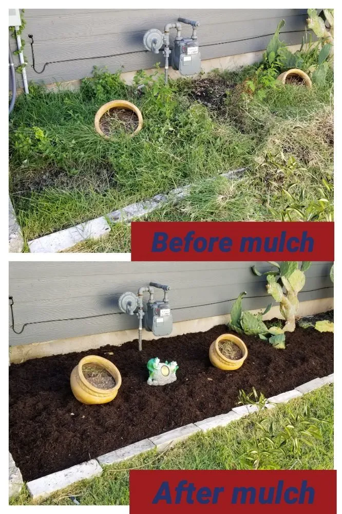 Expert residential landscaping for outdoor upgrades across Austin, TX - A&M Lawn Services