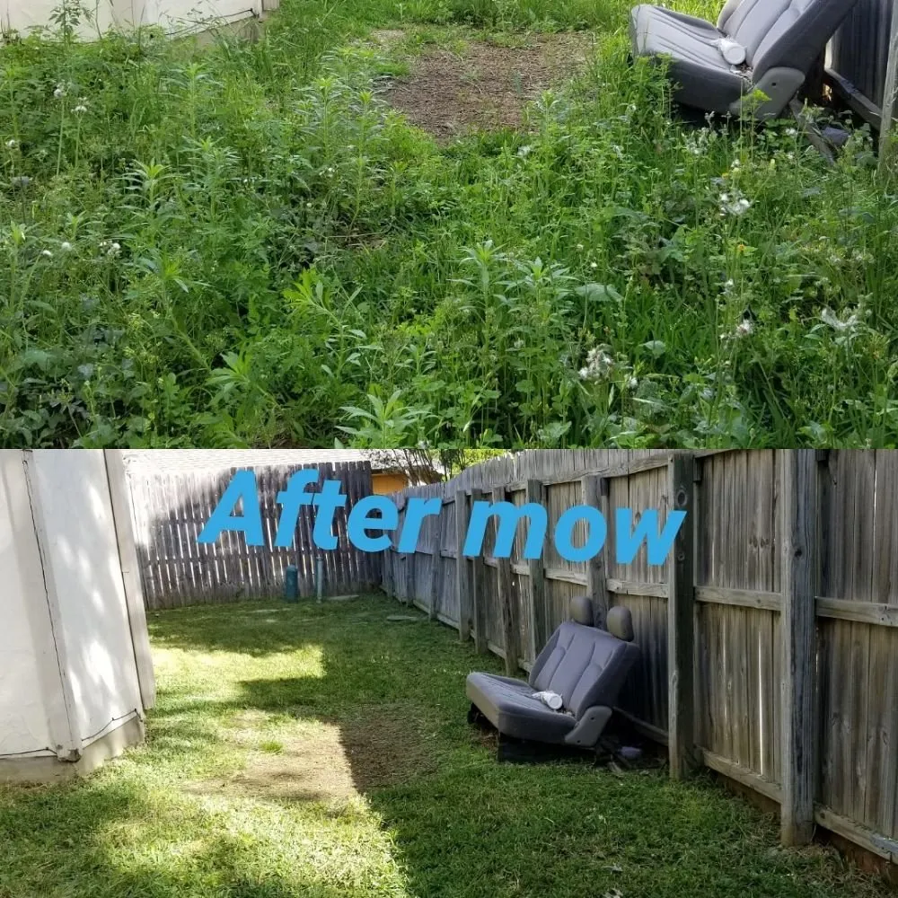 Local yard cleanup service near you across Austin, TX - A&M Lawn Services
