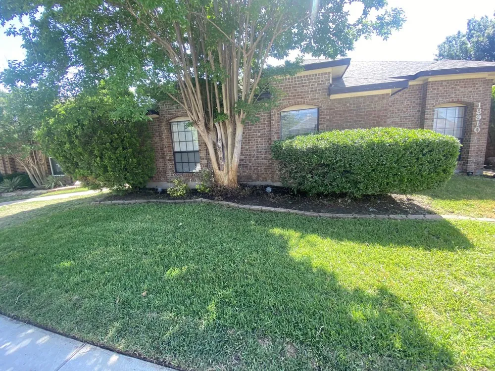 Reliable yard cleanup service for homes across Dallas, TX - A.M Lawncare & Landscape