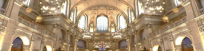 Local garden landscaping in Dallas, TX - A.M Lawncare & Landscape