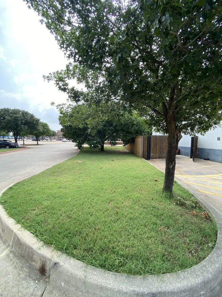 Affordable landscaping services in Dallas, TX by A.M Lawncare & Landscape