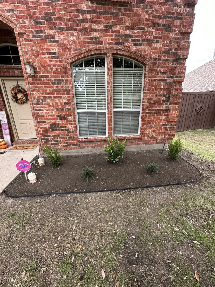 Professional lawn care service in Dallas, TX by A.M Lawncare & Landscape