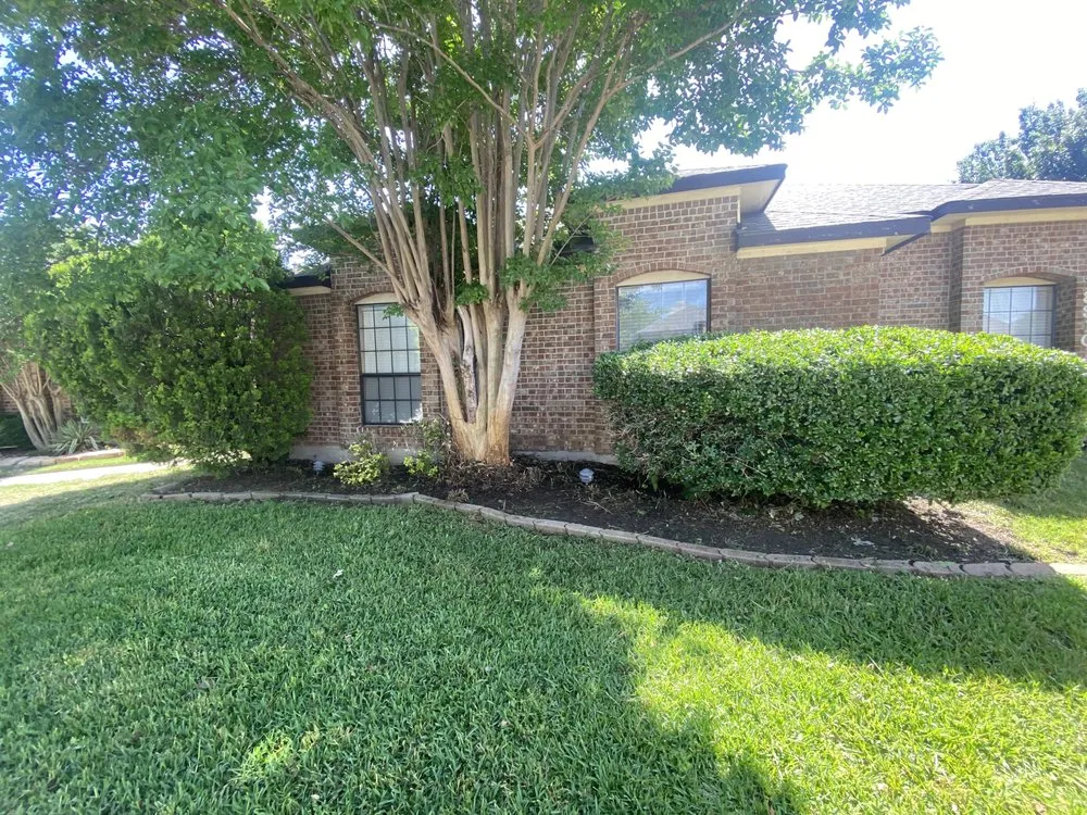 Professional landscape design in Dallas, TX by A.M Lawncare & Landscape