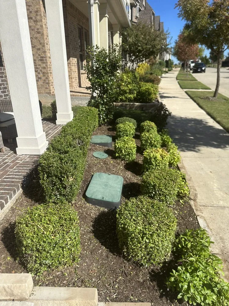 Local lawn care service for year-round maintenance in Dallas, TX by A.M Lawncare & Landscape