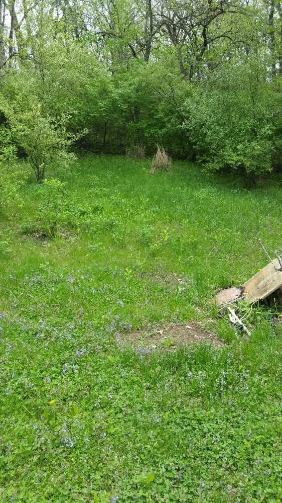 Professional landscape design for year-round maintenance across Davenport, IA - A&M lawncare