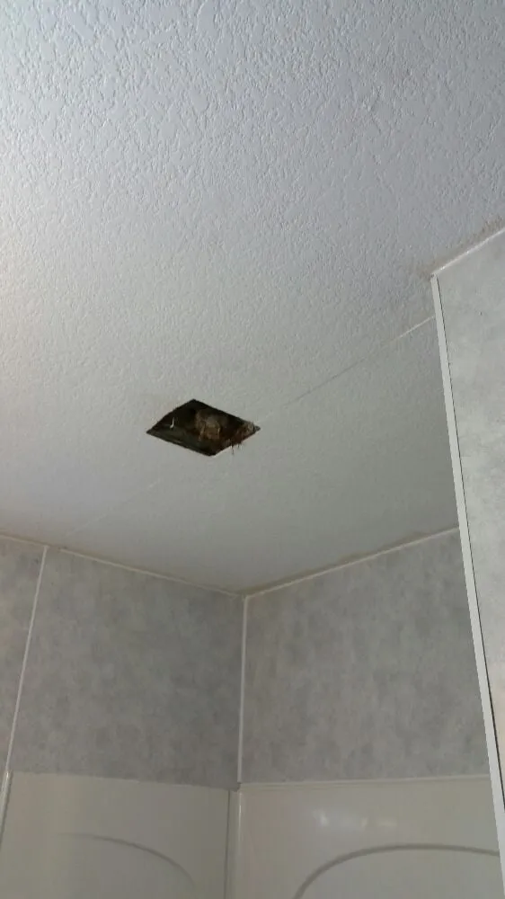 Professional landscaping services in Davenport, IA by A&M lawncare