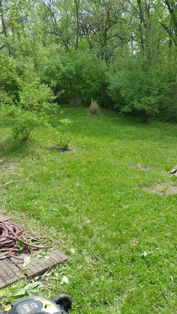 Affordable landscape design near you in Davenport, IA by A&M lawncare