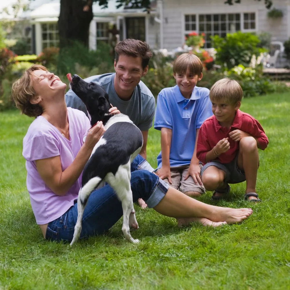 Top-rated landscaping services for beautiful yards in Martinsburg, WV by A&M Lawncare