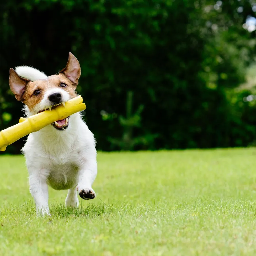 Trusted residential landscaping for outdoor upgrades across Martinsburg, WV - A&M Lawncare