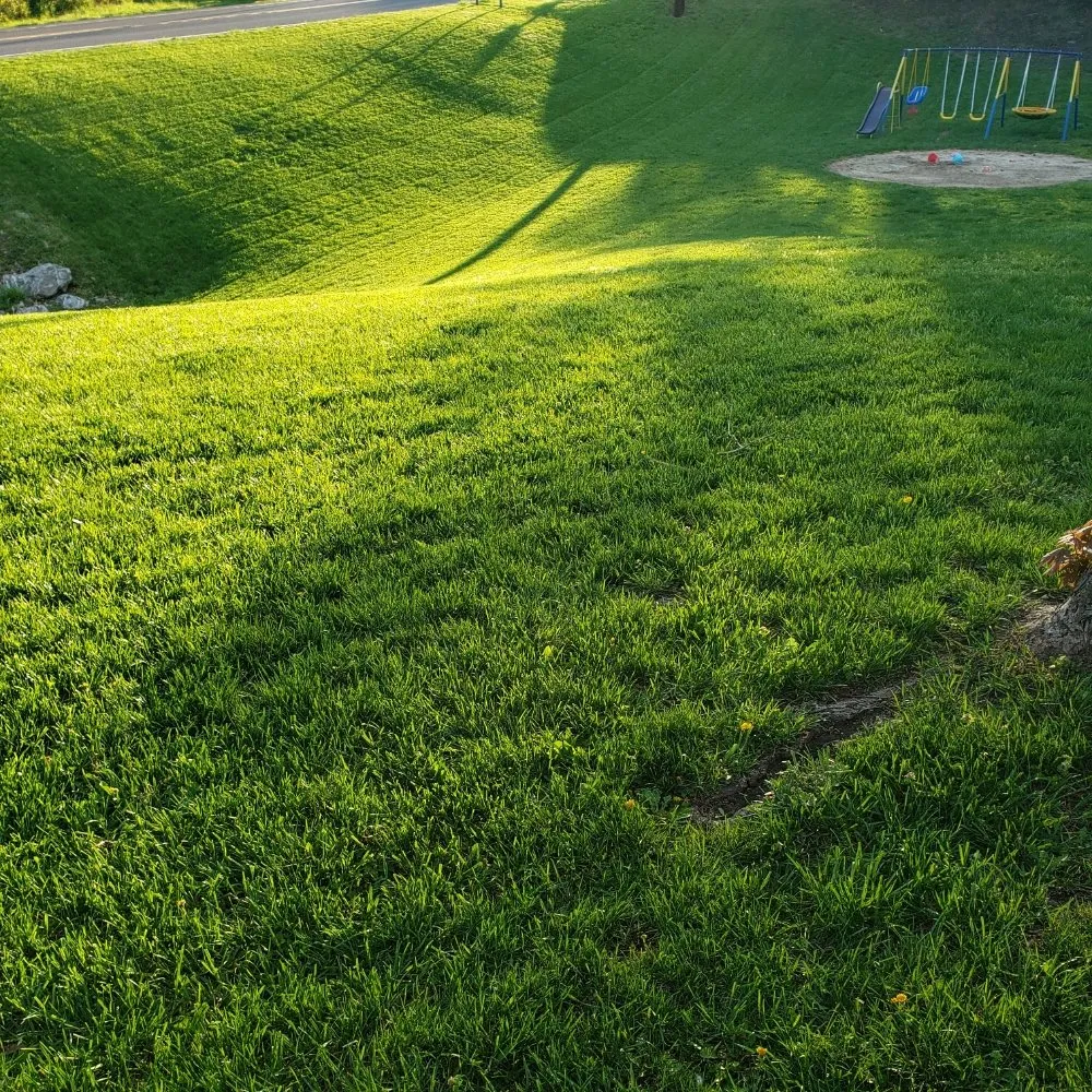 Top-rated yard cleanup service in Martinsburg, WV by A&M Lawncare