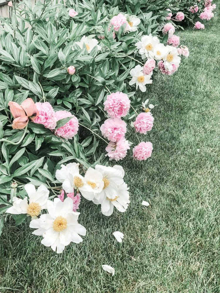 Trusted outdoor landscaping in Martinsburg, WV - A&M Lawncare