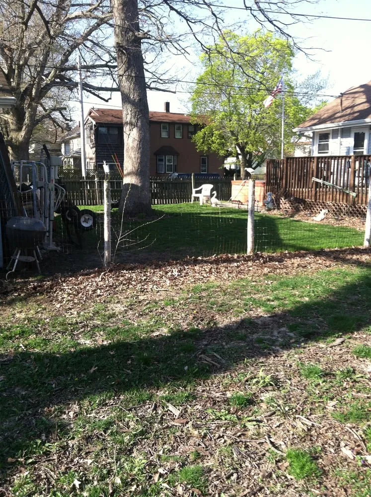 Local landscaping services for residential properties across Moline, IL - A&M Lawncare