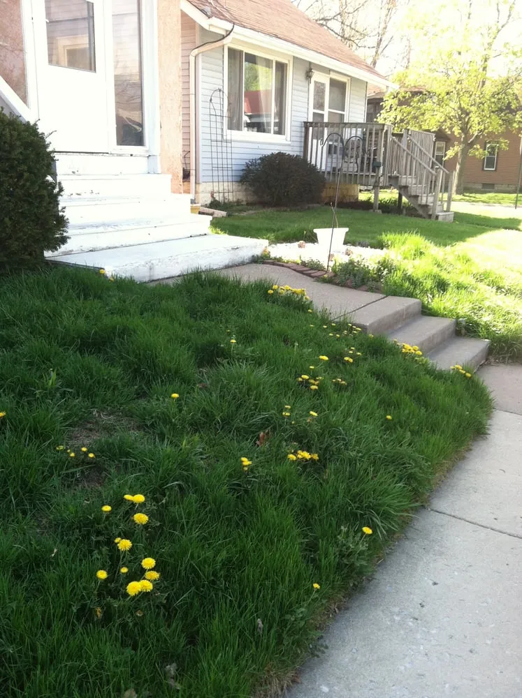 Reliable landscaping services experts serving Moline, IL - A&M Lawncare