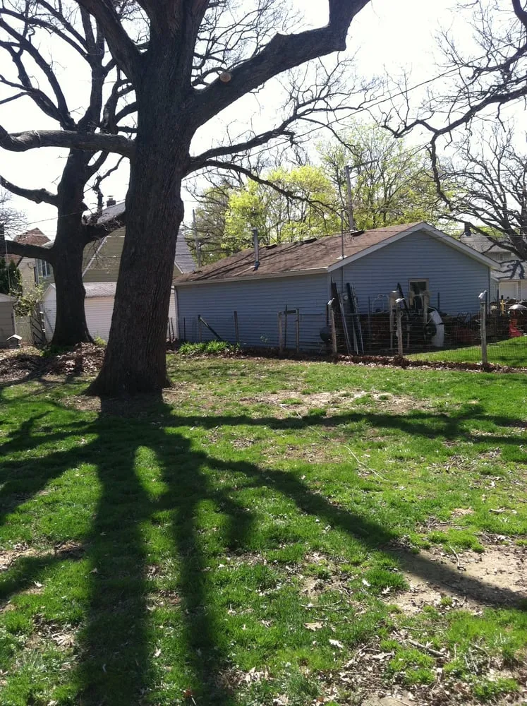 Expert yard maintenance experts serving Moline, IL - A&M Lawncare