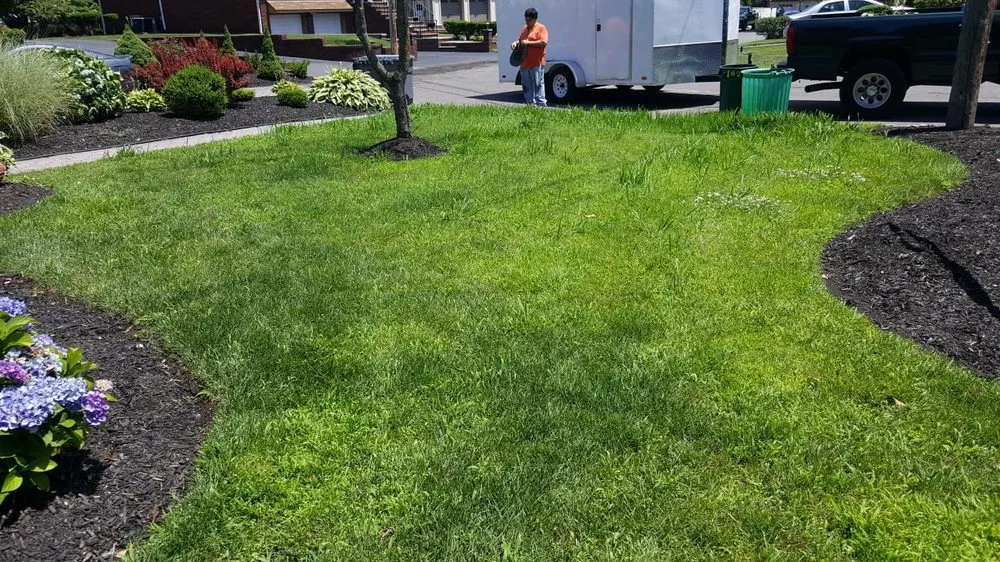 Affordable landscaping services in Clifton, NJ by AM Molina