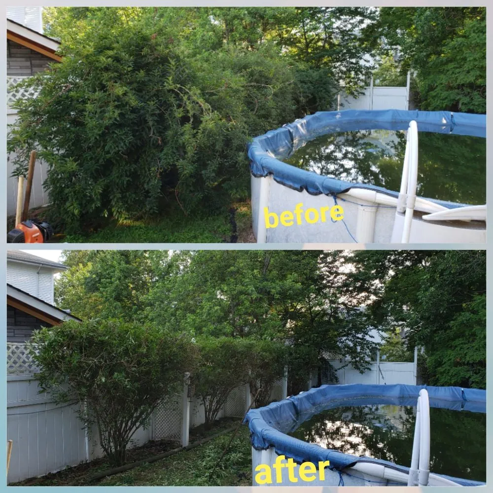 Local residential landscaping in Clifton, NJ by AM Molina