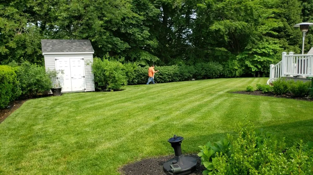 Expert yard maintenance in Clifton, NJ - AM Molina