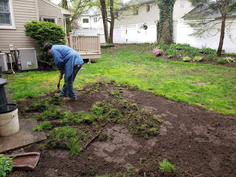 Top-rated lawn care service in Clifton, NJ by AM Molina