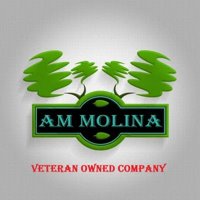 AM Molina Logo