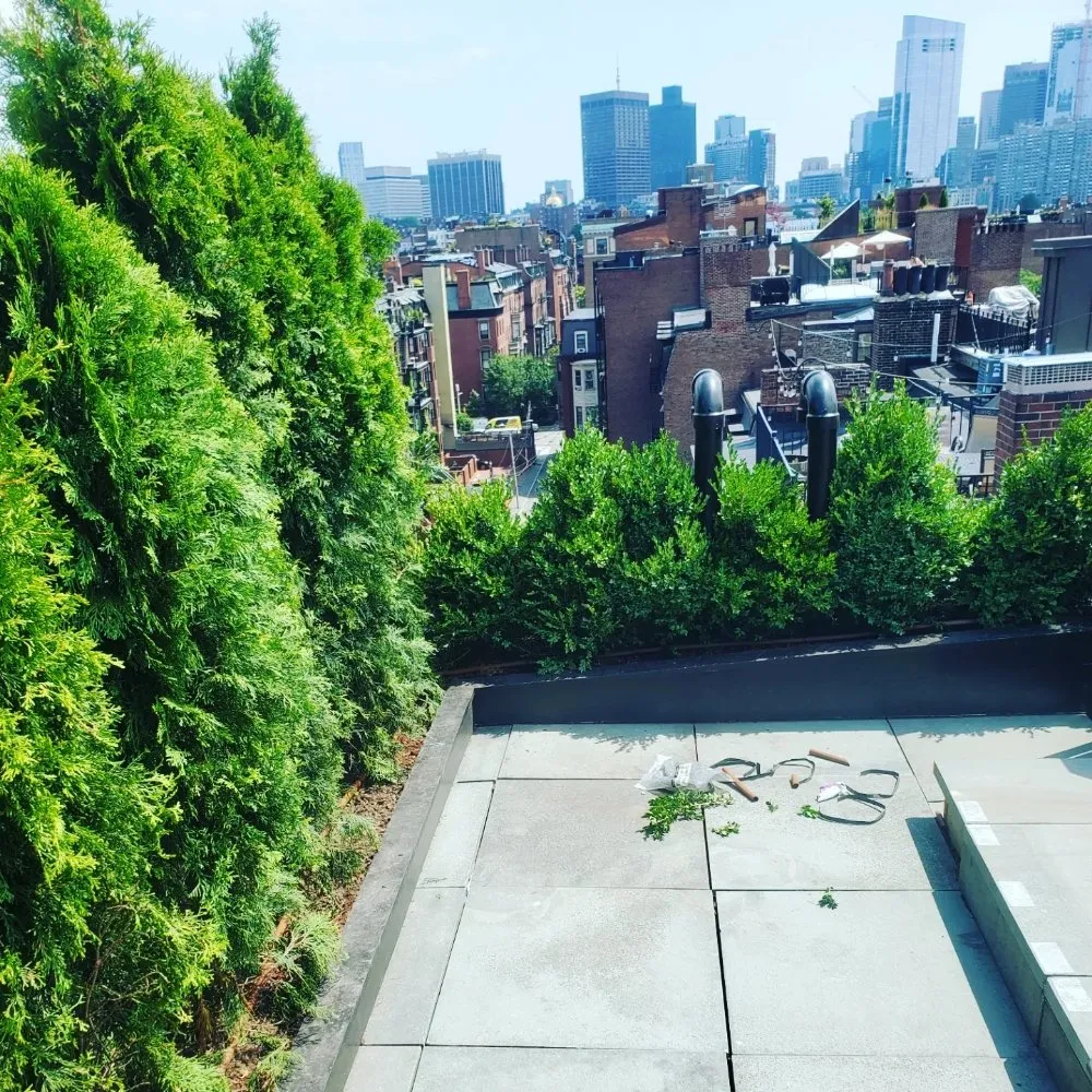 Trusted garden landscaping for homes across Randolph, MA - A&M Solutions