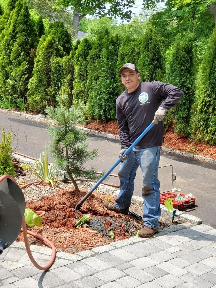 Local lawn care service in Randolph, MA by A&M Solutions