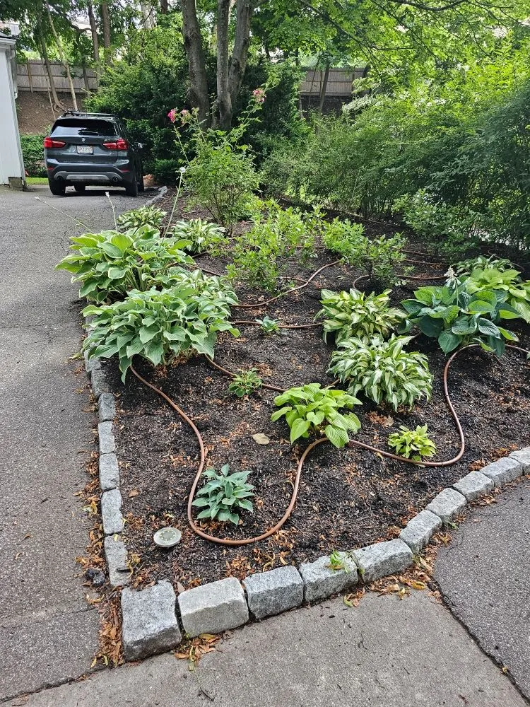 Trusted outdoor landscaping in Randolph, MA by A&M Solutions