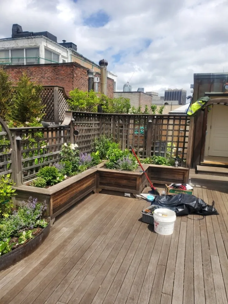 Top-rated lawn care service for residential properties in Randolph, MA by A&M Solutions