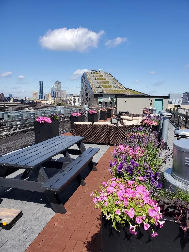 Custom garden landscaping in Randolph, MA by A&M Solutions