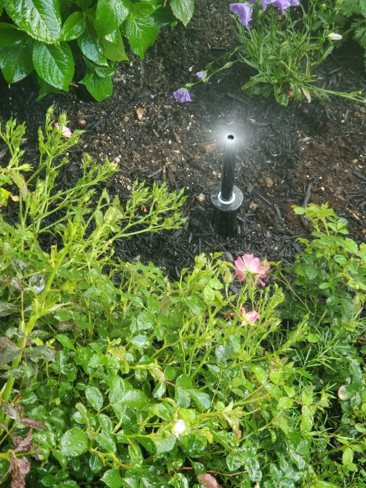 Top-rated landscape installation in Randolph, MA by A&M Solutions