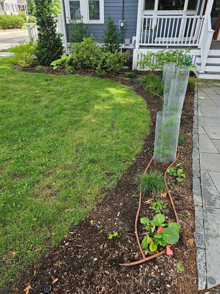 Custom yard maintenance in Randolph, MA - A&M Solutions