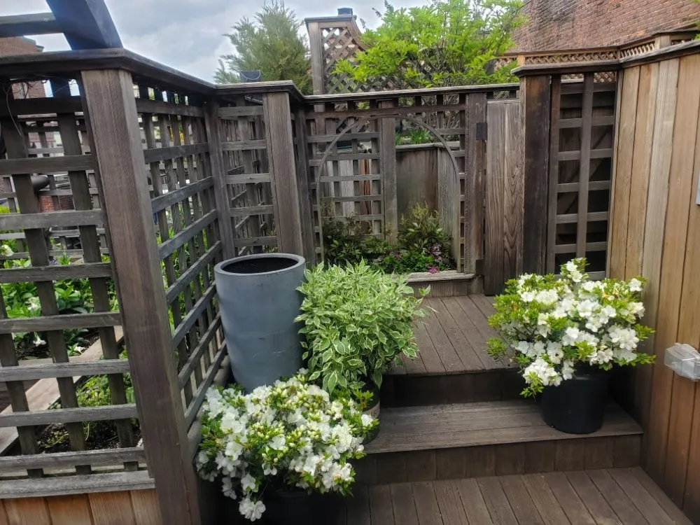 Expert landscape installation in Randolph, MA by A&M Solutions