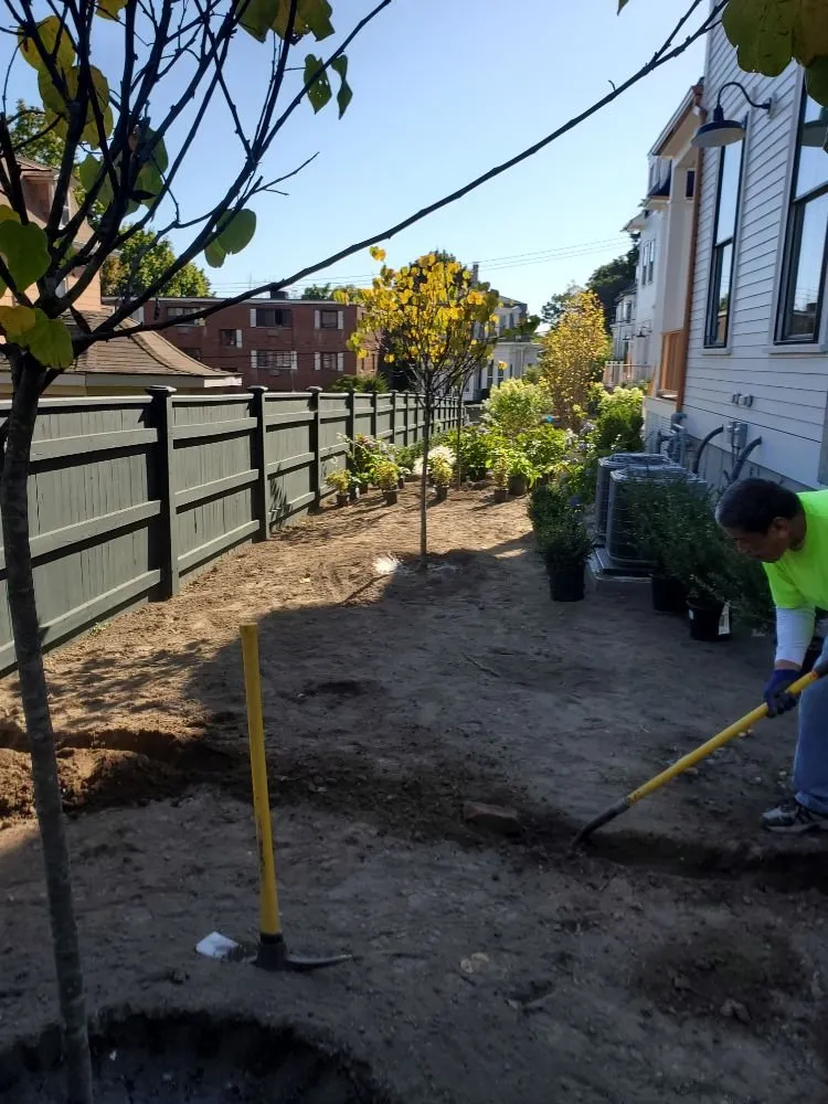 Top-rated lawn care service near you in Randolph, MA by A&M Solutions