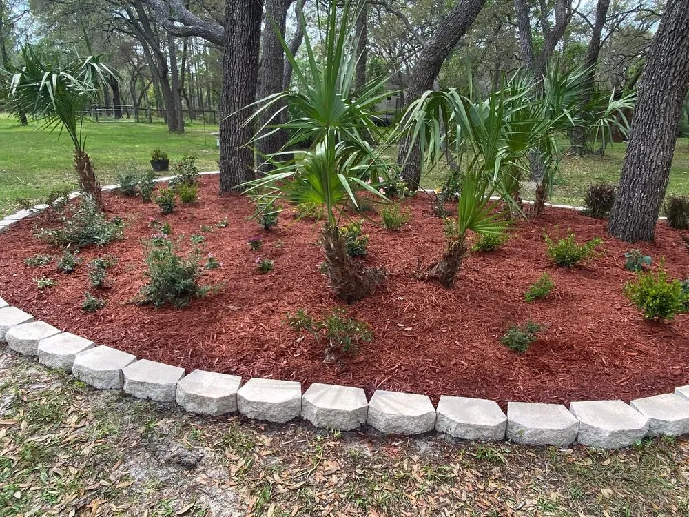 Reliable landscape installation in Port Richey, FL by AM Sprinklers and Sod Plus Mowing