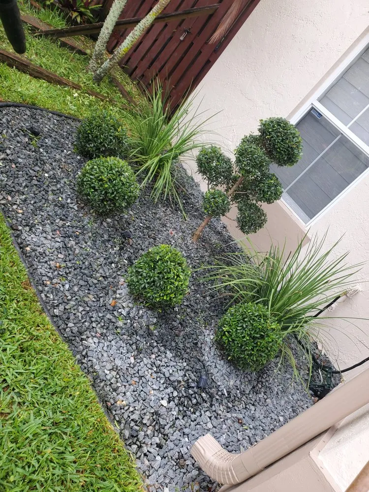 Reliable yard cleanup service in Davie, FL - A&M the Leyend Landscaping