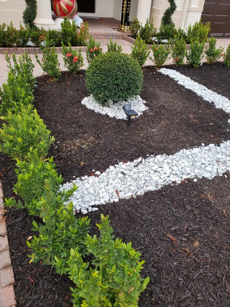 Custom yard cleanup service in Davie, FL by A&M the Leyend Landscaping