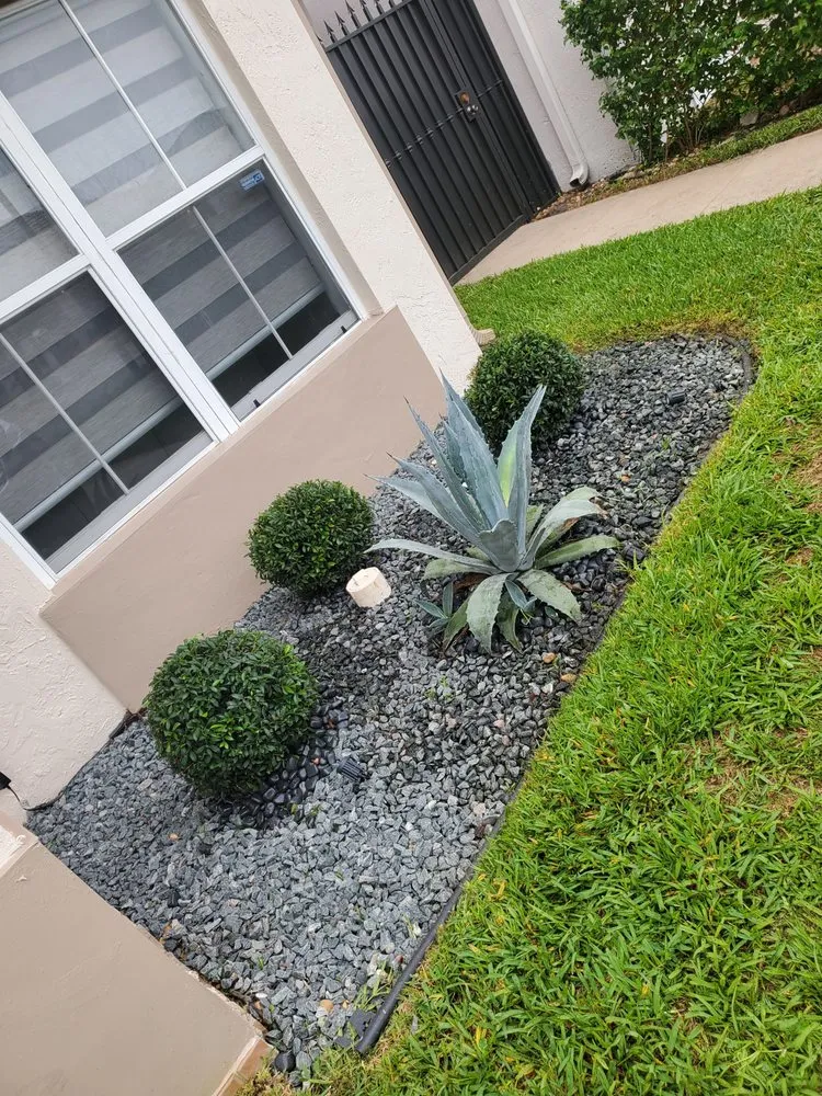 Reliable yard cleanup service in Davie, FL - A&M the Leyend Landscaping