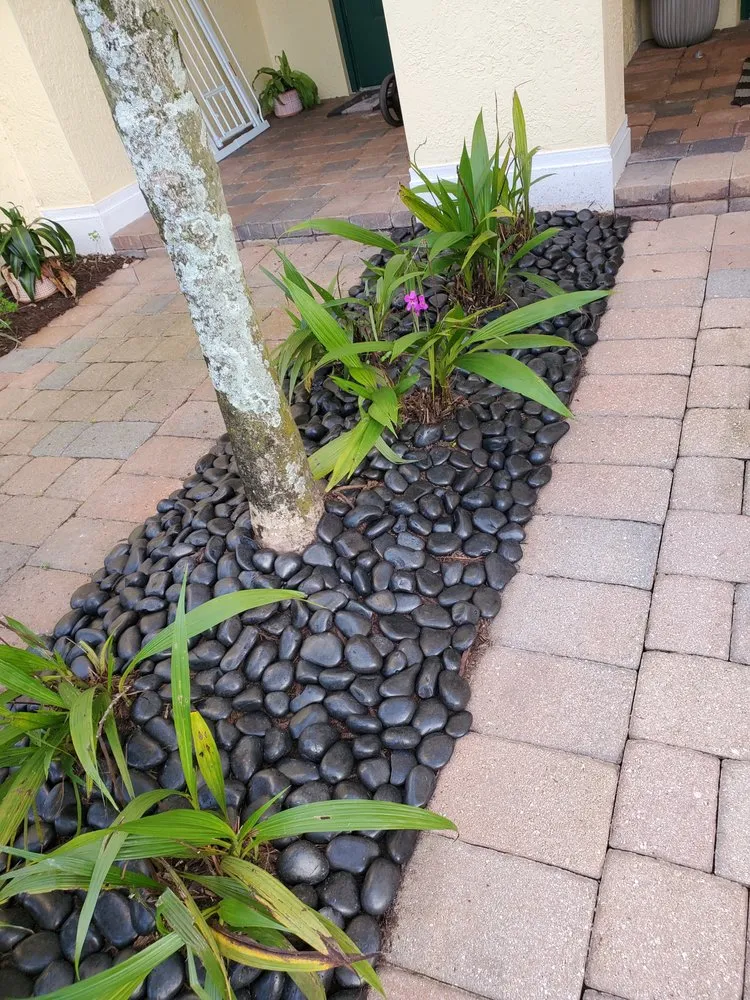 Professional outdoor landscaping experts serving Davie, FL - A&M the Leyend Landscaping