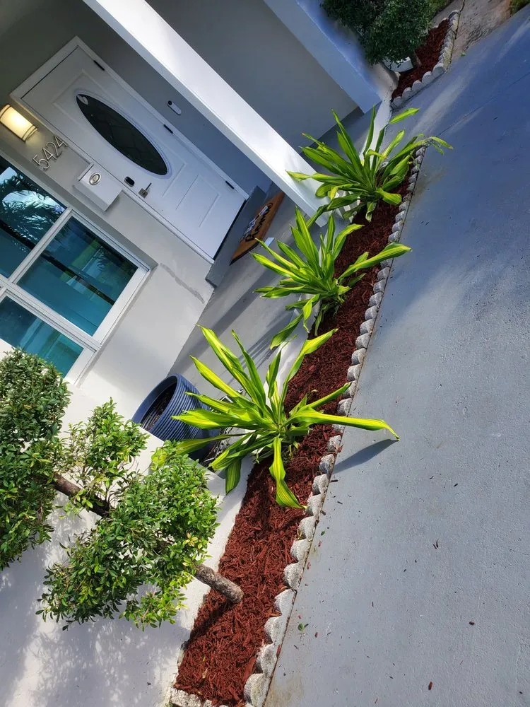 Professional landscaping services for homes in Davie, FL by A&M the Leyend Landscaping