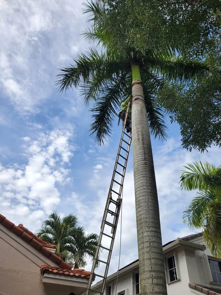 Local garden landscaping in Davie, FL by A&M the Leyend Landscaping