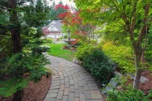 Professional outdoor landscaping in Saint Charles, MO - A&M Tree Services