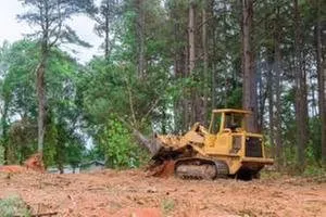 Professional landscape design experts serving Saint Charles, MO - A&M Tree Services