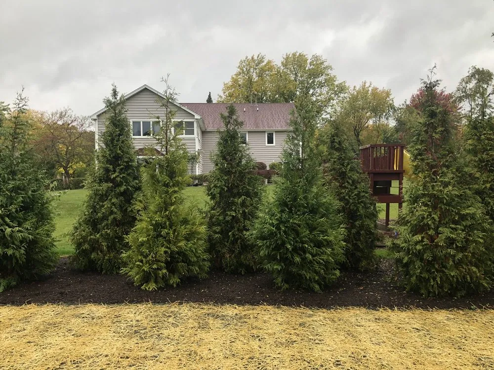 Expert landscaping services in Mundelein, IL by A.M. Woodland Outdoor Design