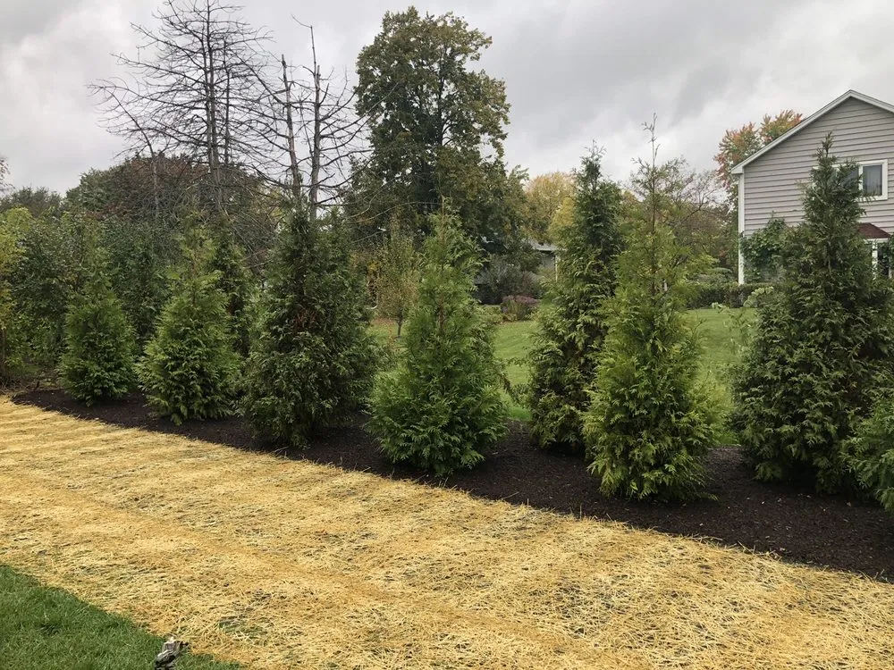 Affordable yard maintenance for outdoor upgrades across Mundelein, IL - A.M. Woodland Outdoor Design