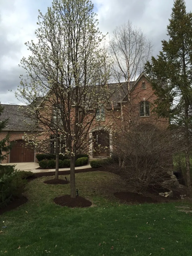 Trusted lawn mowing service experts serving Mundelein, IL - A.M. Woodland Outdoor Design