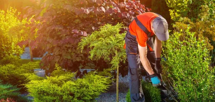 Expert garden landscaping in Piedmont, SC - A&M York Services