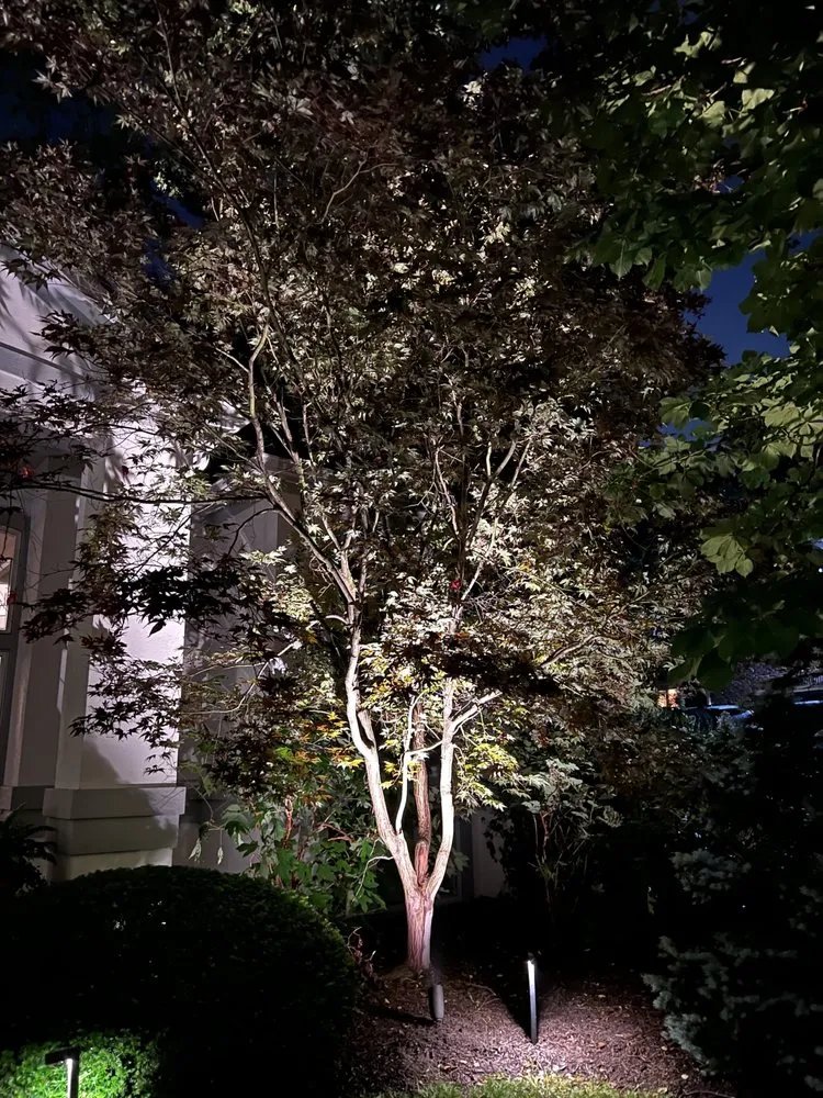 Affordable yard maintenance experts serving Camby, IN - AM2PM Landscaping