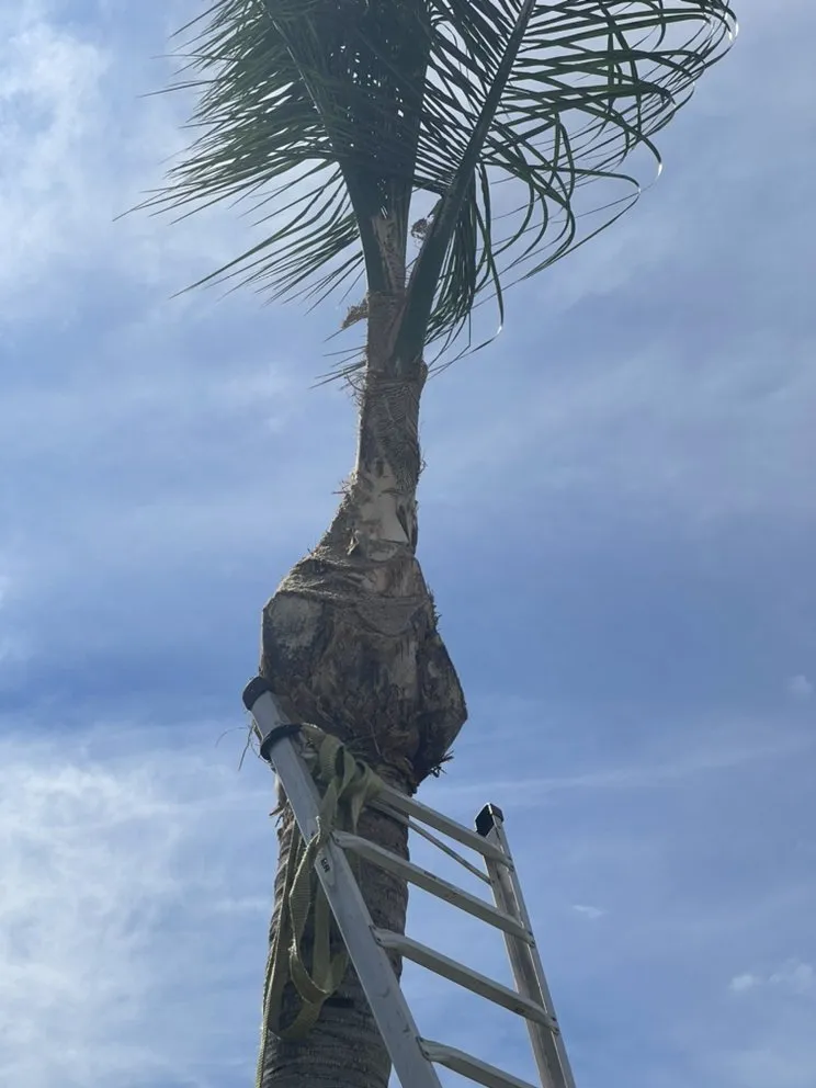 Local garden landscaping near you across Hudson, FL - A.M.A Creations