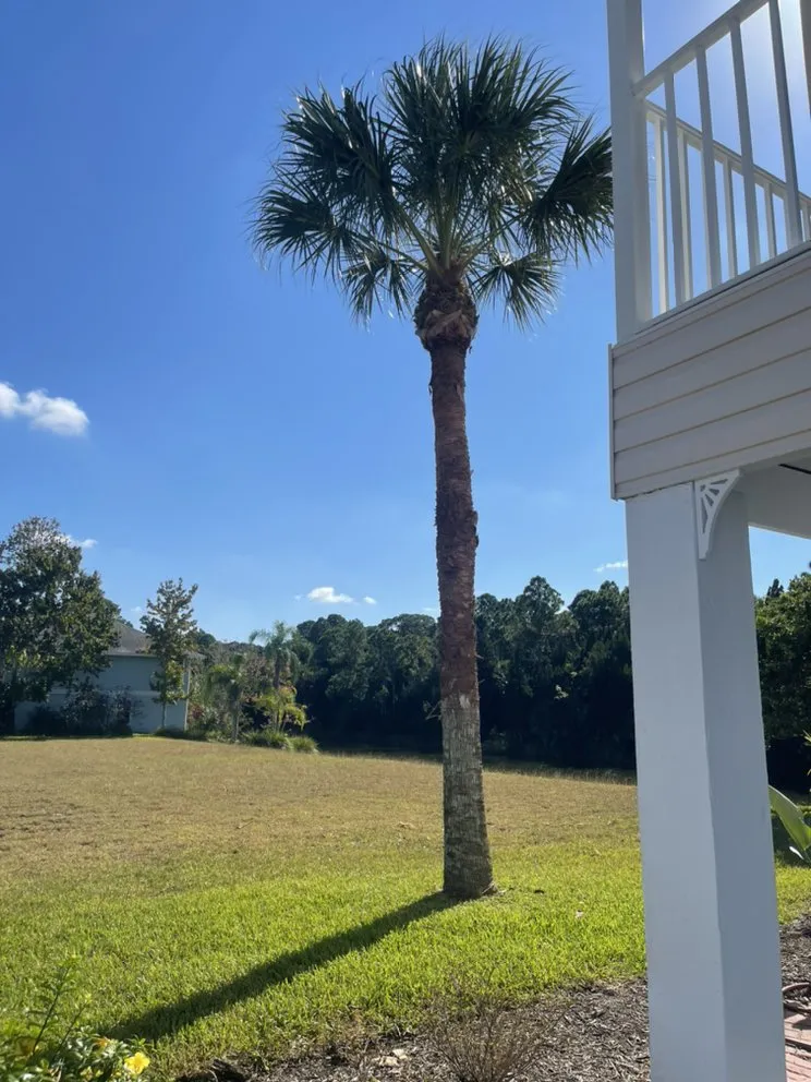 Top-rated outdoor landscaping in Hudson, FL by A.M.A Creations